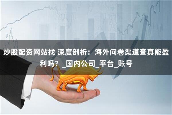 炒股配资网站找 深度剖析：海外问卷渠道查真能盈利吗？_国内公司_平台_账号