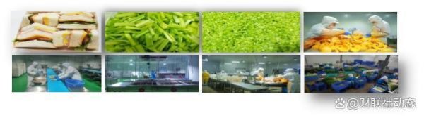 互联网龙头股排名 深圳中创咨询陪跑导师：助力农业种植企业融资2200万