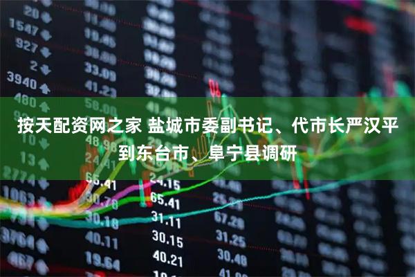 按天配资网之家 盐城市委副书记、代市长严汉平到东台市、阜宁县调研
