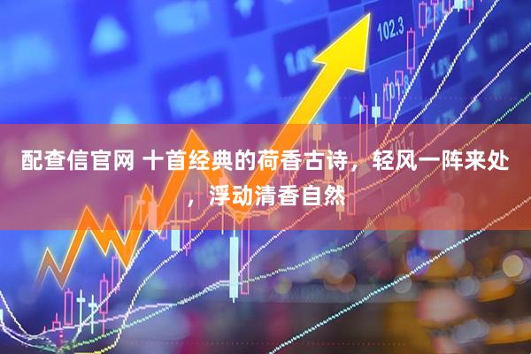 配查信官网 十首经典的荷香古诗，轻风一阵来处，浮动清香自然